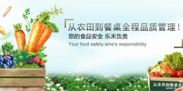 打造完整食材供應鏈，樂禾食品完成1億元B輪融資